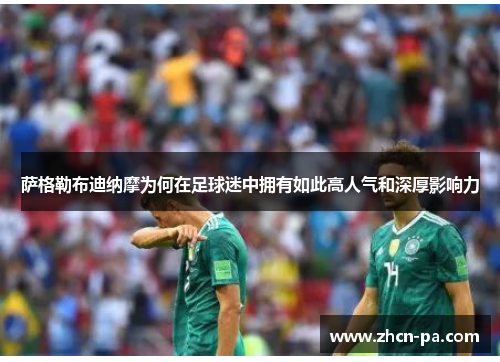 萨格勒布迪纳摩为何在足球迷中拥有如此高人气和深厚影响力