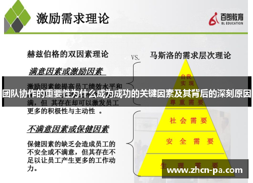 团队协作的重要性为什么成为成功的关键因素及其背后的深刻原因