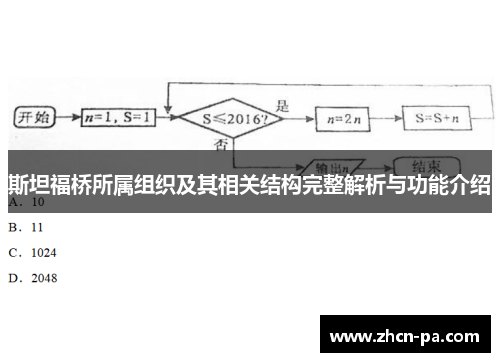 斯坦福桥所属组织及其相关结构完整解析与功能介绍