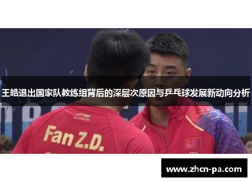 王皓退出国家队教练组背后的深层次原因与乒乓球发展新动向分析 王皓退出国家队教练组背后的深层次原因与乒乓球发展新动向分析