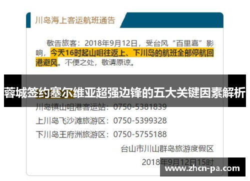 蓉城签约塞尔维亚超强边锋的五大关键因素解析 蓉城签约塞尔维亚超强边锋的五大关键因素解析