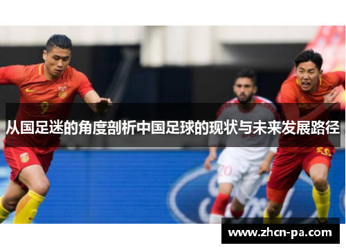 从国足迷的角度剖析中国足球的现状与未来发展路径