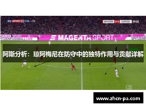 阿斯分析：琼阿梅尼在防守中的独特作用与贡献详解