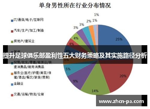 提升足球俱乐部盈利性五大财务策略及其实施路径分析
