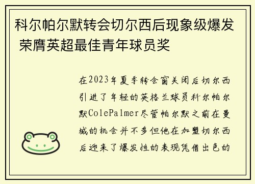 科尔帕尔默转会切尔西后现象级爆发 荣膺英超最佳青年球员奖